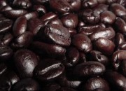 coffebeans